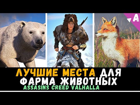 Video: Assassin's Creedдеги Антилла кайда?