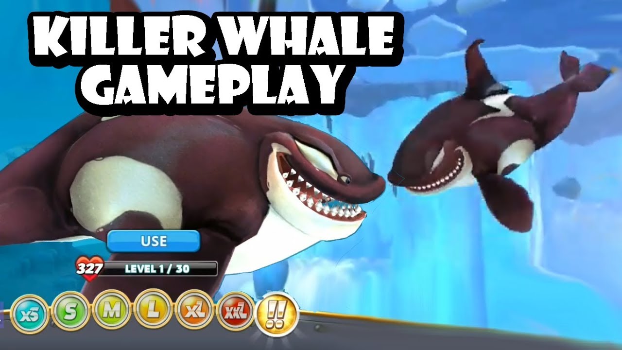 Killer Whale Shark Buying with Gold and Gameplay - Hungry Shark World
