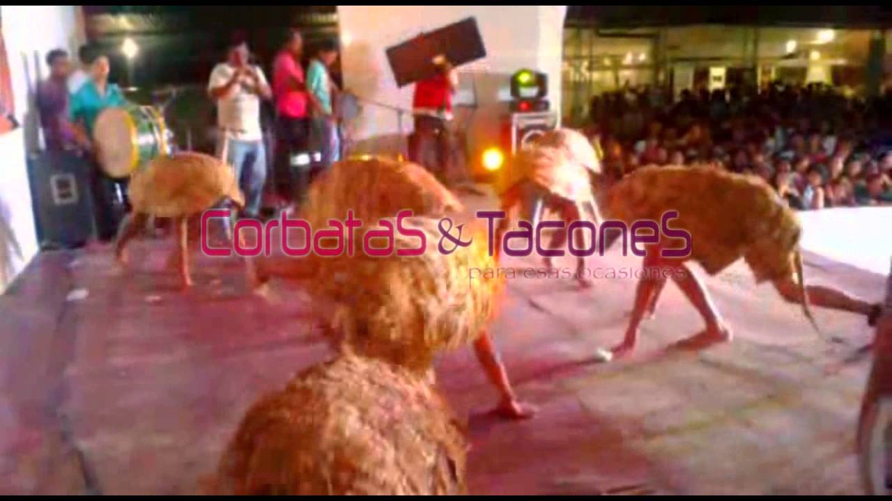 Danza Carachupa, Sentimiento Profundo de Bellavista, Corbatas & Tacones