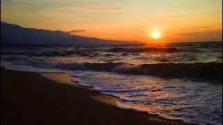 (background video) sunset // no copyright