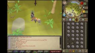 Details Graahk Tips and Tricks Guide News
