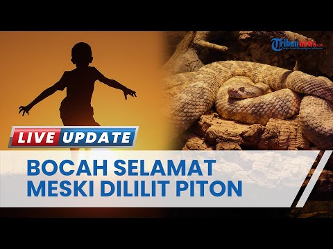 Ulardan beshtasi bitta mushukni sikishdi Ulardan beshtasi bitta mushukni sikishdi