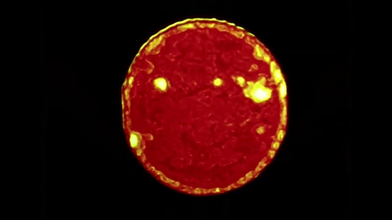 On the Revolutions of the Heavenly Spheres: Opening Letters and Author's Preface