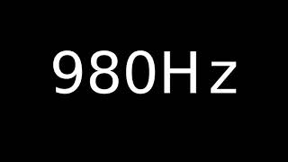 Speaker Sound Test 980Hz