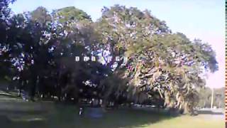 First & Last flight of my new Tyro99. :(
