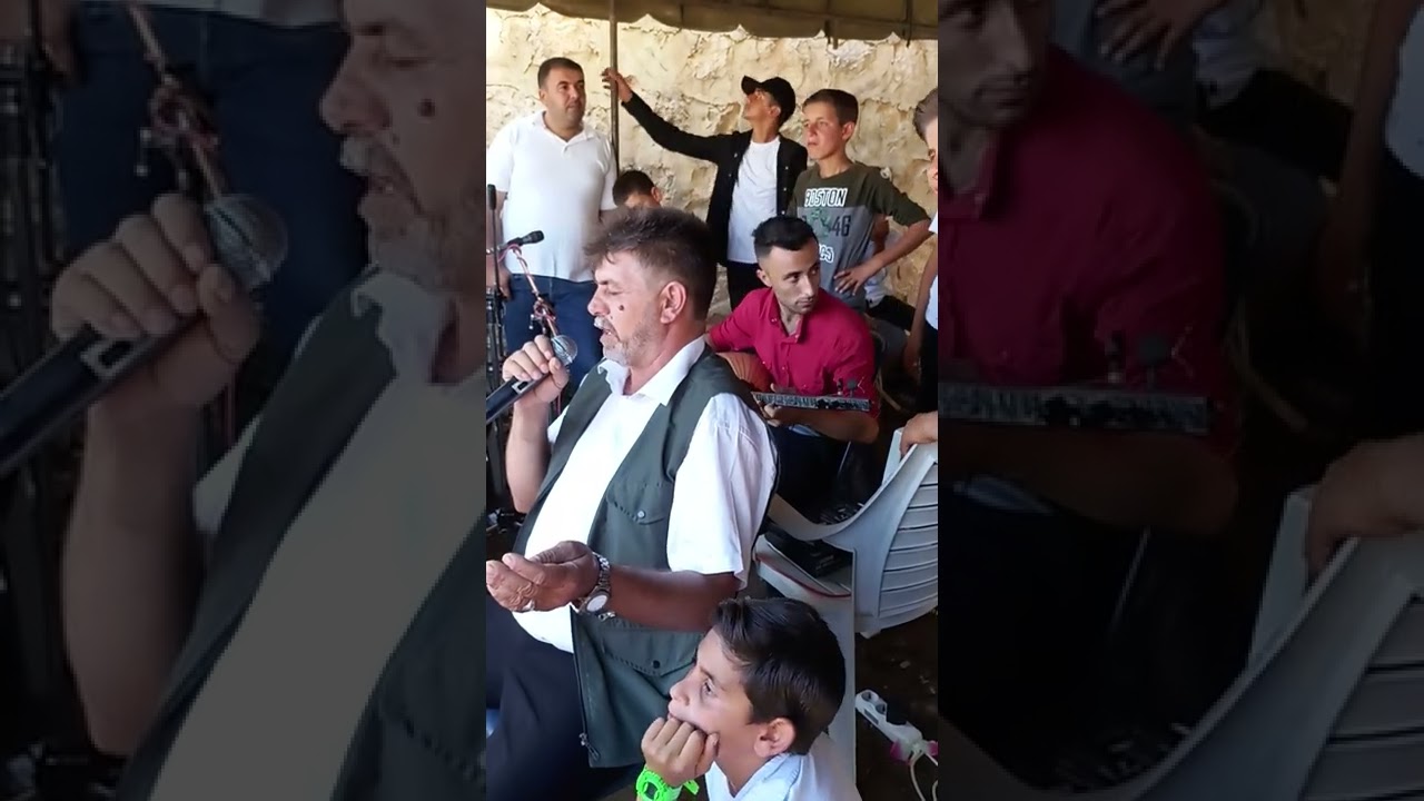 الفنان احمد محمود قرية برج حيدر