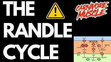 The Randle Cycle Explained