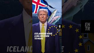 Thumbnail for Icelanders have a big decision to make