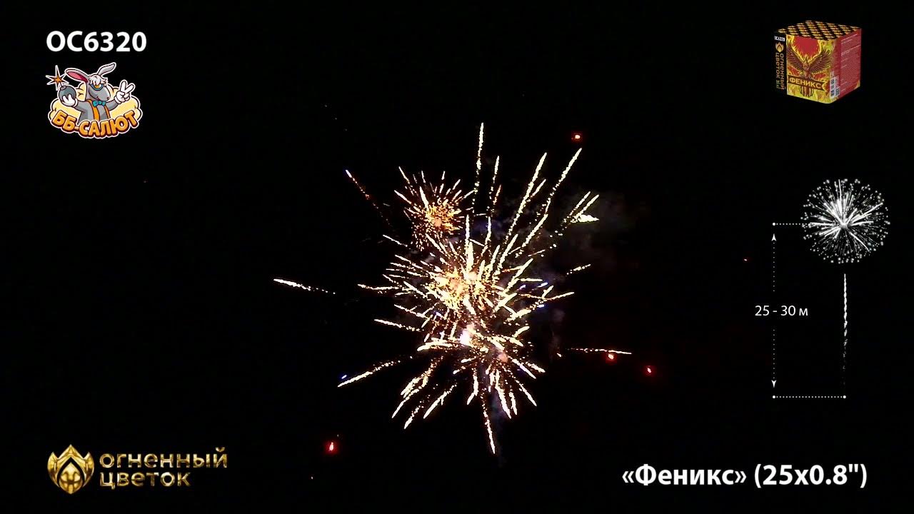 Салют феникс 25 залпов. Салют феникс 100 залпов. Батарея салютов феникс 0. Салют феникс 25 залпов видео. Cl 024 салют.