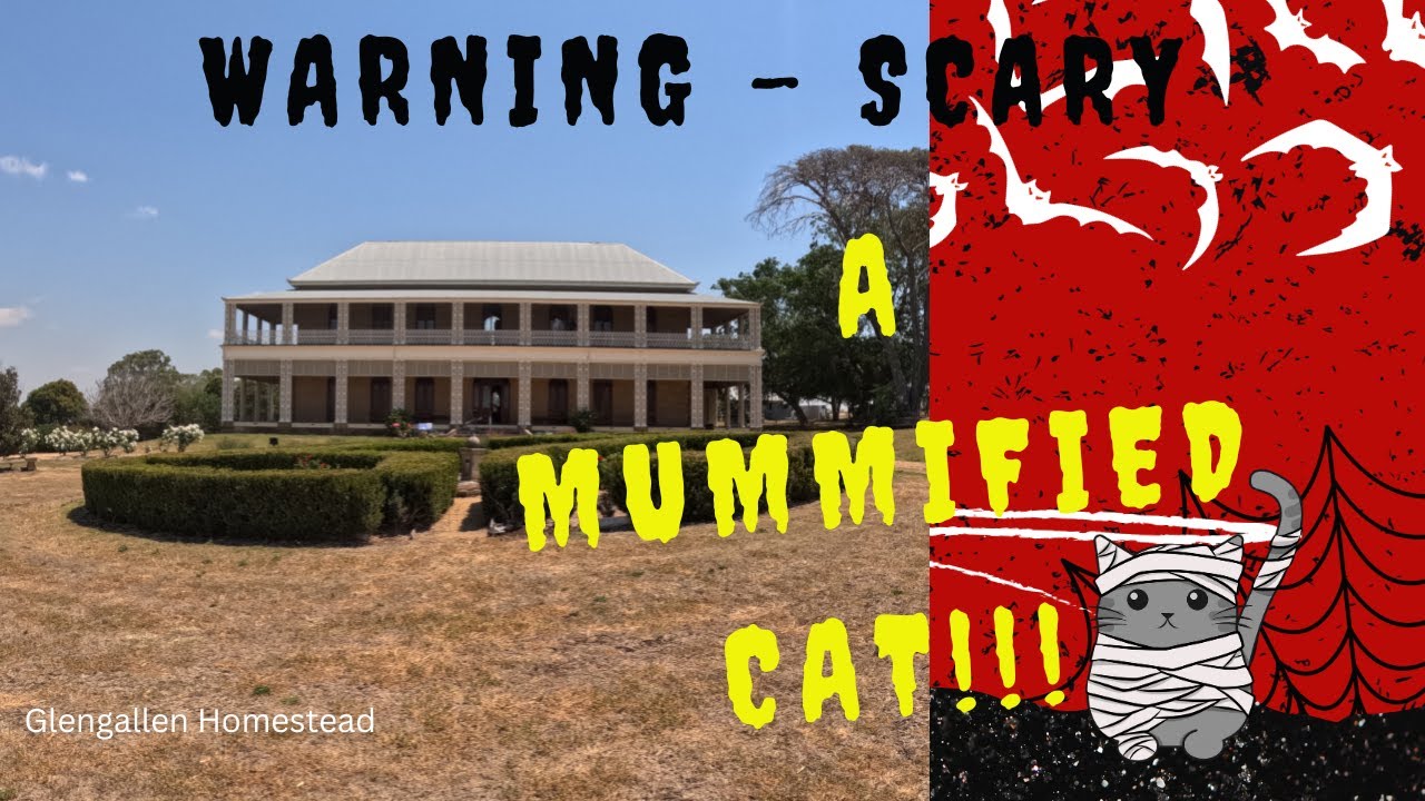 Camping at Goomburra while we wait for our motorhome - Part 2