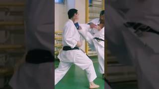 Gyaku Mikazuki geri #karate #martialarts