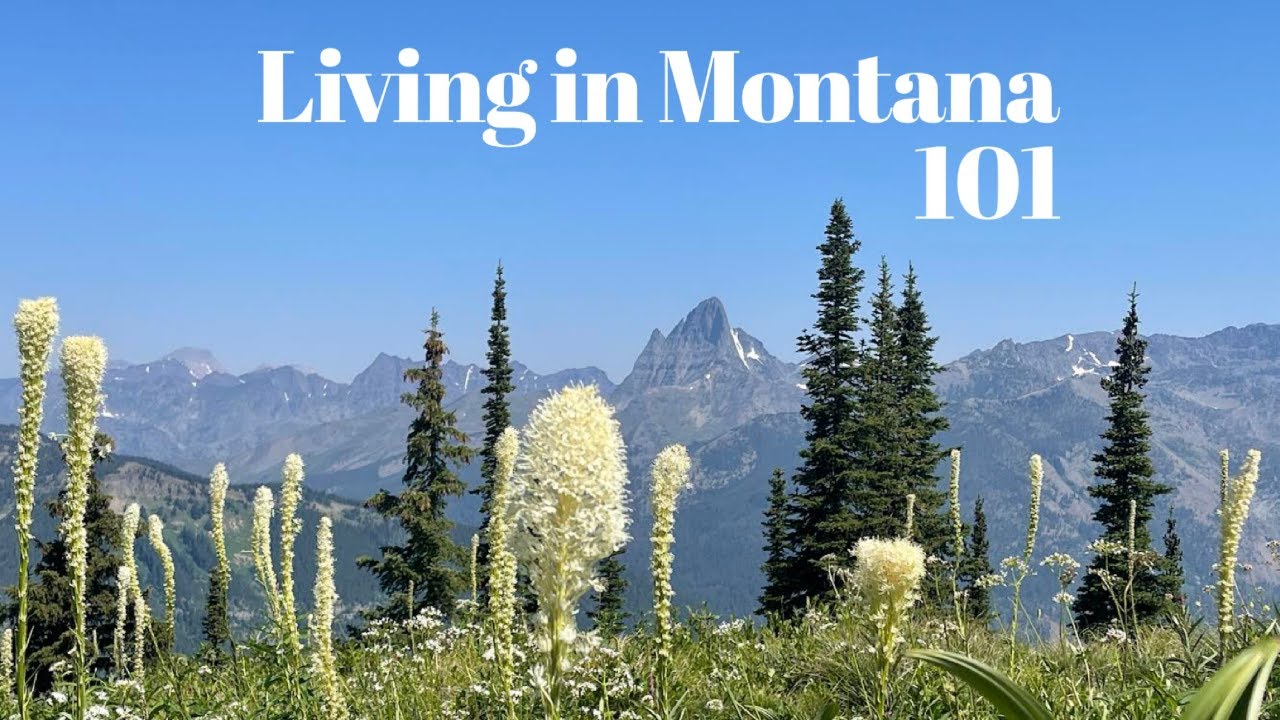 Living in Montana 101 YouTube