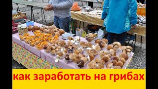 КАК ЗАРАБОТАТЬ на ЛЕСНЫХ ГРИБАХ? Сбор,сушка,продажа. БИЗНЕС ИДЕЯ.