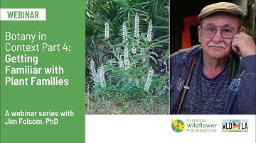 Botany in Context Part 4: Getting Familiar with Plant Families