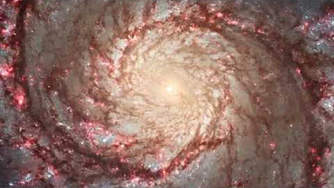 Trance Incidental Meditation - Max Welker