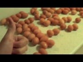 Howtobasic sucks