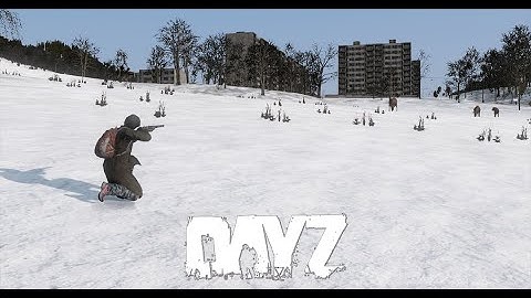 A Stream Sniper - DayZ