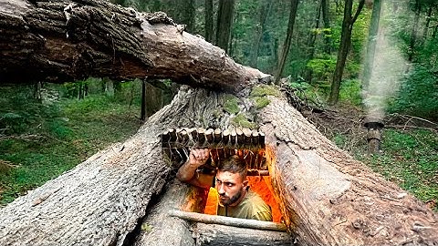 Building The Most Secret Dugout Inside A Fallen Tree. Bushcraft, Survival , Dugout