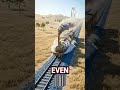 👉 “Trains Were Pulled by Ropes! 😱”