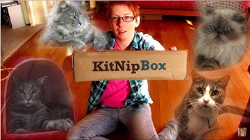 KitNipBox Unboxing March 2015