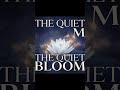 Om Shanti/ Meditation and Yoga chant