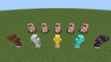 Which armor can you save zoglin attack?