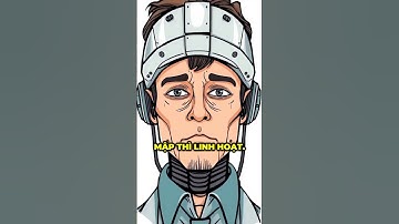 Tập 369: Giao Dịch Tin Phải Có Não, Không Phải Có Phản Xạ