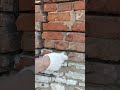 Ремонт трещины стены дома. House wall crack repair