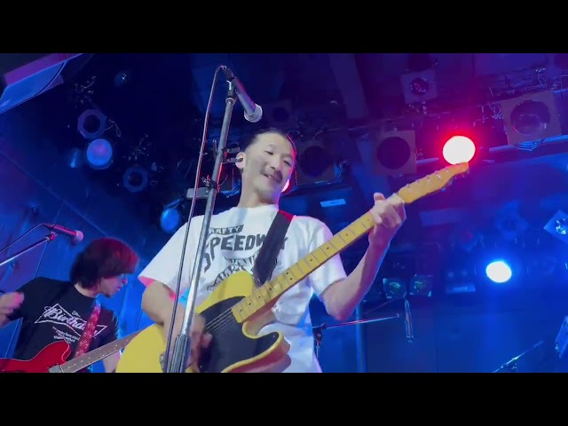 LiveHall Dolly's