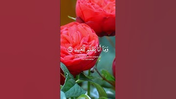 قرأة جميلة للشيخ ياسر الدوسري،سورة ق