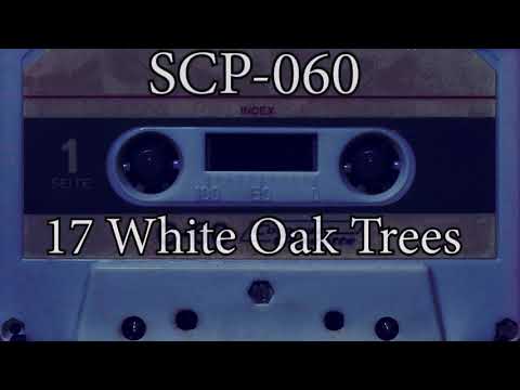 SCP-060 Explained |