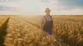 Caucasian Old Good Looking Man Farmer In A Hat Walking The Path Row Among The