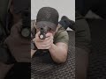 Shooting in various positions with MantisX #dryfirepractice #practicalshooting