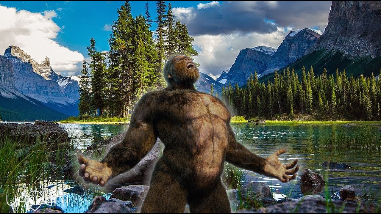 Pie Grande Captado en cámara por navegante en Ontario, Canadá YouTube