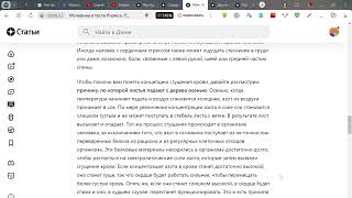 Мочевина в тесте Риэмса. Почему у вас только три дня, чтобы мочевина не стала врагом вашего здоровья