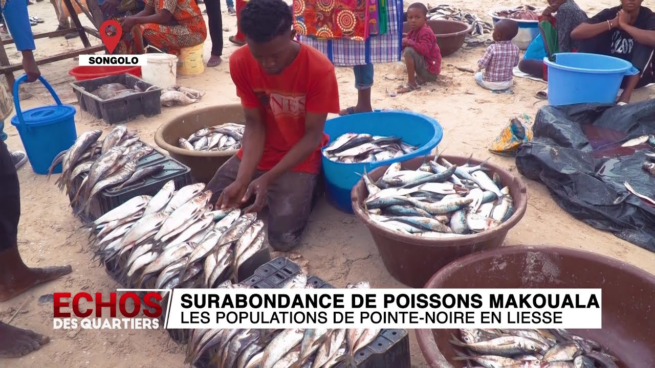 Surabondance de poissons "Makouala" : les populations de Pointe-Noire en liesse [Echos 2 Quartiers]
