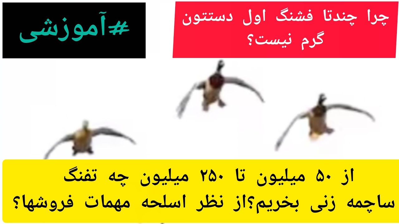 چرا اول شکار دستتون گرم نیست؟چه تفنگ ساچمه زنی بخریم ک بتونیم باز ب وقتش بفروشیم و مشتریش باشه؟؟؟