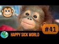 Monkey business  happy sick world no 41