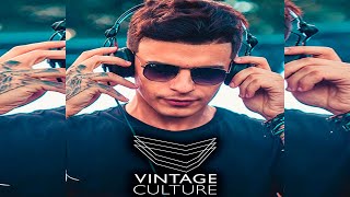 Vintage Culture - Under The Sun