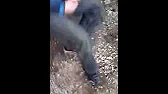 Роман Марочкин