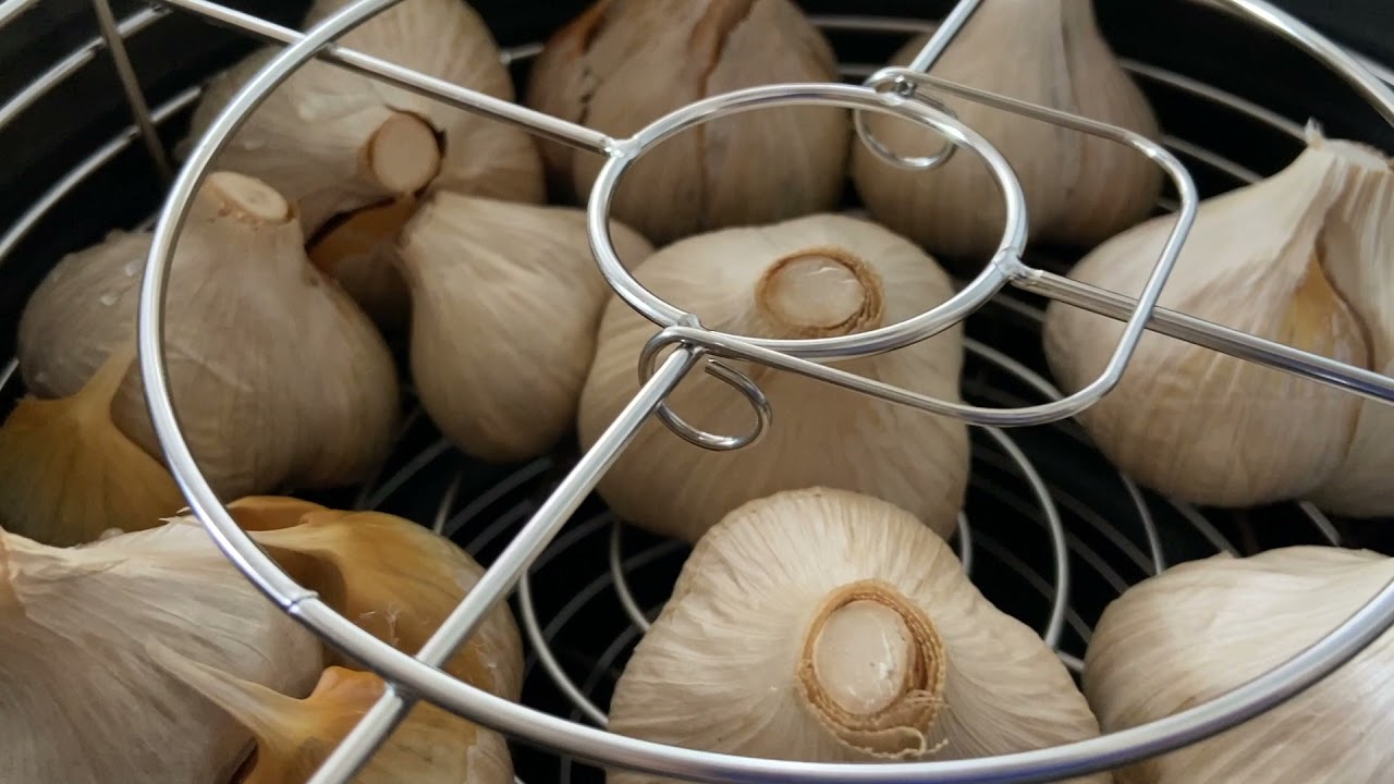 黒にんにくメーカー(東京Deco 黒にんにくメーカー)を使って黒にんにく作ってみた