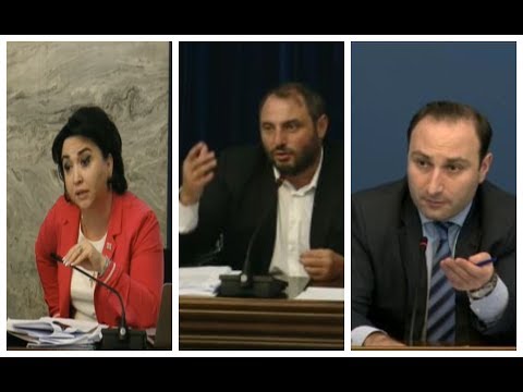 თავი გააკონტროლეთ, წესები დაიცავით, არ მომიცია მიკროფონის ჩართვის უფლება - დაპირისპირება პარლამენტში