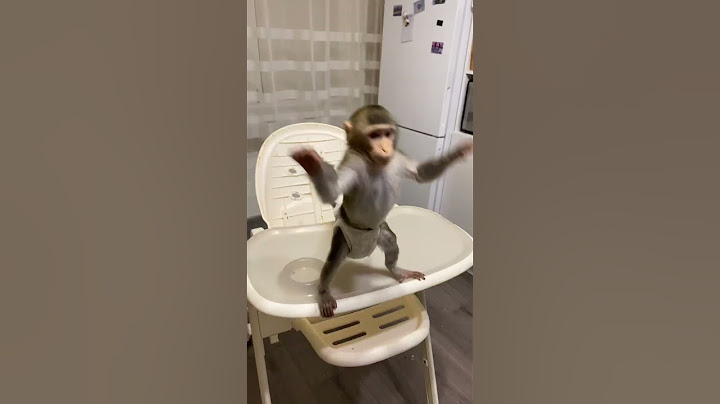 Забавный малыш обезьянка 🙈🤣 #babymonkey #monyet #обезьяна