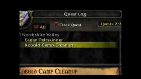 SHADOW PRIEST LEVELING