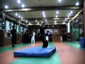 Martial Arts Gymnastics