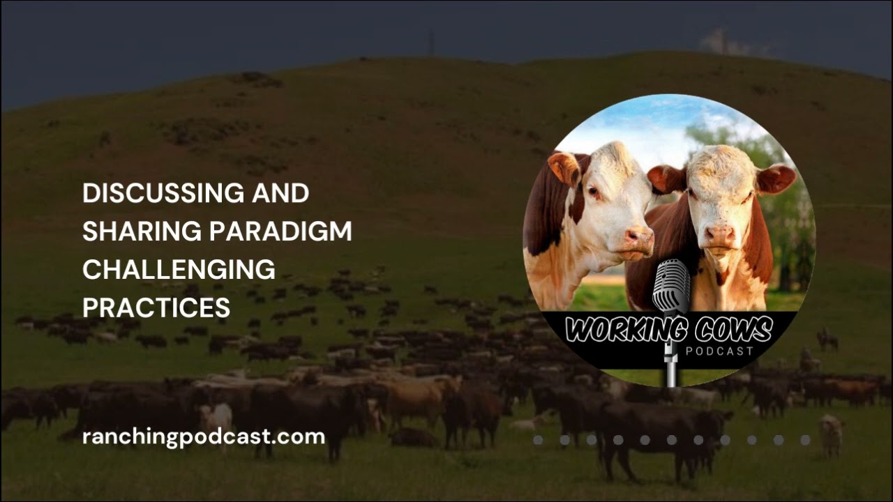Ep. 232 – Steve Cote – A Day of Bud Williams Stocmanship pt. 2 | Working Cows