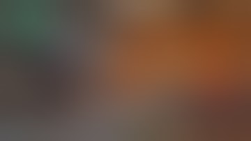 The Division 1.8.1 Tactician Classified The seeker mine killer.