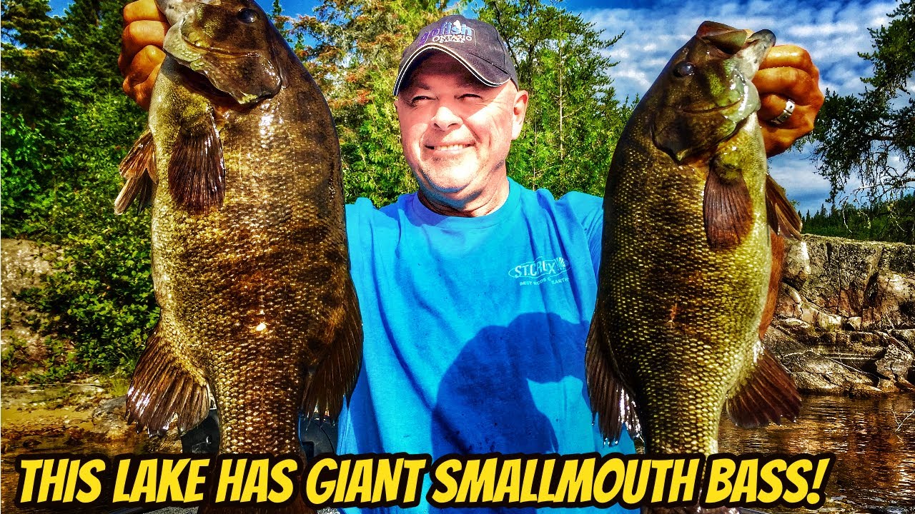 THIS LAKE HAS GIANT SMALLMOUTH BASS - Ontario Hotspots 