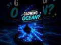 The Ocean That Glows At Night! 🌊✨😨 #shorts #mystery #milkysea #facts #viralshorts #amazingfacts