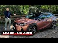 Nouveau lexus ux300h 2024  plus de puissance et un meilleur chassis